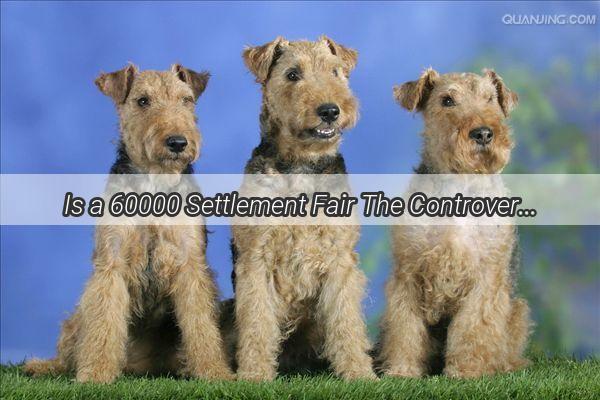 Is a 60000 Settlement Fair The Controversial Case of the Dog Owners Compensation